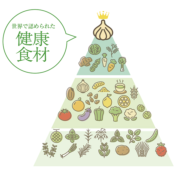 デザイナーズフード | まさゆきの株式会社の「熟成黒にんにく」。コラーゲン、玄米核酸入りで臭いも少なく食べ易いマンゴー風味。