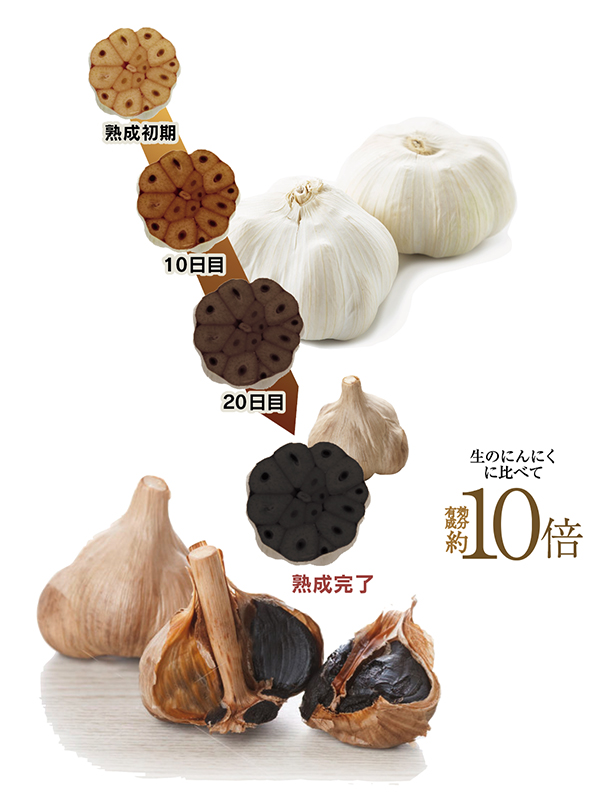 黒にんにくの有効成分は通常のにんにくの約１０倍 | まさゆきの株式会社の「熟成黒にんにく」。コラーゲン、玄米核酸入りで臭いも少なく食べ易いマンゴー風味。