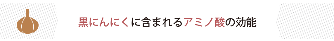 黒にんにくに含まれるアミノ酸の効能
