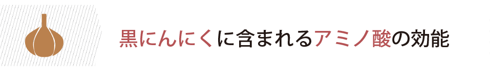 黒にんにくに含まれるアミノ酸の効能