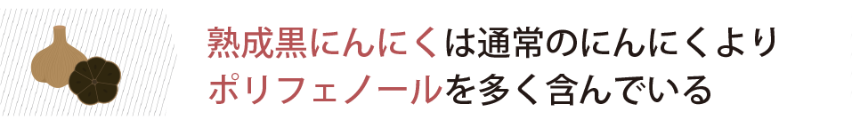 ル熟成黒にんにくは通常のにんにくよりポリフェノールを多く含んでいる