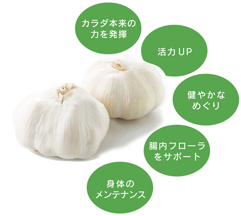 にんにくは優れた健康食材 | にんにくの効果・効能 | 熟成黒にんにくについて